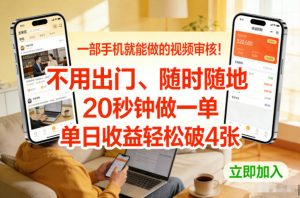 一部手机就能做的视频审核！不用出门，随时随地，20秒钟做一单，单日收益轻松破4张【揭秘】-苏舒创业网