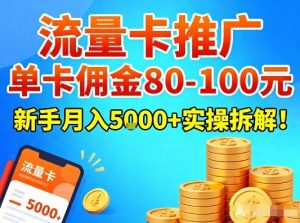 流量卡推广，单卡佣金80-100，新手月入5k+实操拆解！-苏舒创业网