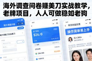 海外调查问卷賺美刀实战教学，老牌项目，人人可做稳如老狗-苏舒创业网