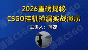 CSGO游戏挂机游戏搬砖最新升级,普通小白一部手机可日入300+当天见结果,支持验证-苏舒创业网