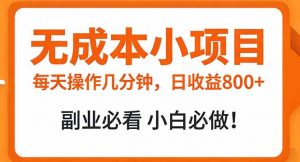 无成本小项目 每天操作几分钟，真实日收益800+ 副业必看 小白必做！-苏舒创业网