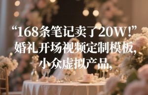 168条笔记卖了20W！婚礼开场视频定制模板，小众虚拟产品-苏舒创业网
