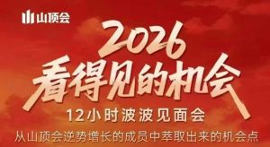 2026看得见的机会，剖析十几个实战案例，可直接抄作业，再优化迭代，内容超全，干货满满-苏舒创业网