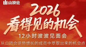 波波·2026看得见的机会12小时波波见面会(东莞线下课2月1日)-苏舒创业网