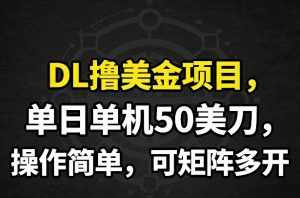 DL撸美金项目，单日单机50美刀，操作简单，可矩阵多开-苏舒创业网