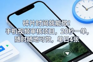 碎片时间就能做！手机视频审核项目，20秒一单，随时随地可做，单日4张+【揭秘】-苏舒创业网