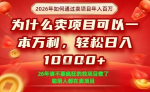 一单净利润1K+，26年想年入100个W，死磕卖项目就够了【揭秘】-苏舒创业网