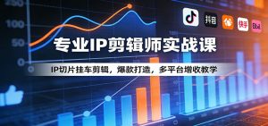 专业IP剪辑师实战课:IP切片挂车剪辑,爆款打造,多平台增收教学-苏舒创业网