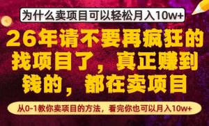 为什么真正賺到钱的都在卖项目，从0-1教你卖项目的方法，看完你也可以月入10w+【揭秘】-苏舒创业网