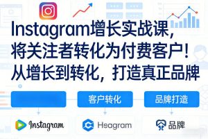 Instagram增长实战课，将关注者转化为付费客户！从增长到转化，打造真正品牌(双语字幕)-苏舒创业网