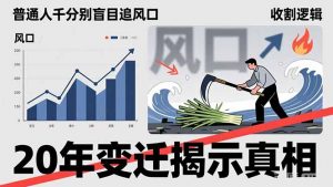普通人千万别盲目追风口，20年变迁揭示真相，看懂收割逻辑才能避免成为接盘侠-苏舒创业网