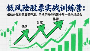 低风险股票实战训练营：低估分散排雷三箭齐发，手把手教你构建十年十倍永续组合-苏舒创业网