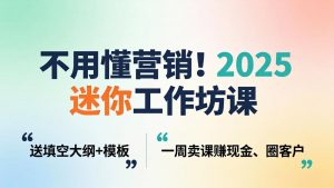 不用懂营销!2025 迷你工作坊课:送填空大纲 + 模板,一周卖课赚现金、圈客户-苏舒创业网