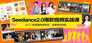 Seedance2.0爆款视频实战课：从入门到精通电商带货，品牌宣传短剧-苏舒创业网