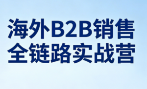雨哥·海外B2B销售全链路实战营-苏舒创业网