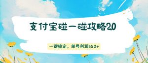 支付宝碰一碰攻略2.0，一键搞定，单号利润350+-苏舒创业网
