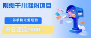 刚需千川涨粉项目,一部手机无需技术,单日变现1k+,当天做当天见收益【揭秘】-苏舒创业网