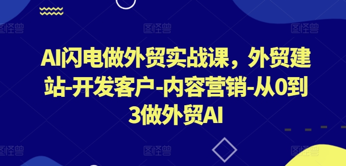 AI闪电做外贸实战课，​外贸建站-开发客户-内容营销-从0到3做外贸AI(更新)-苏舒创业网