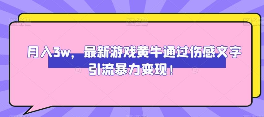 月入3w，最新游戏黄牛通过伤感文字引流暴力变现-苏舒创业网