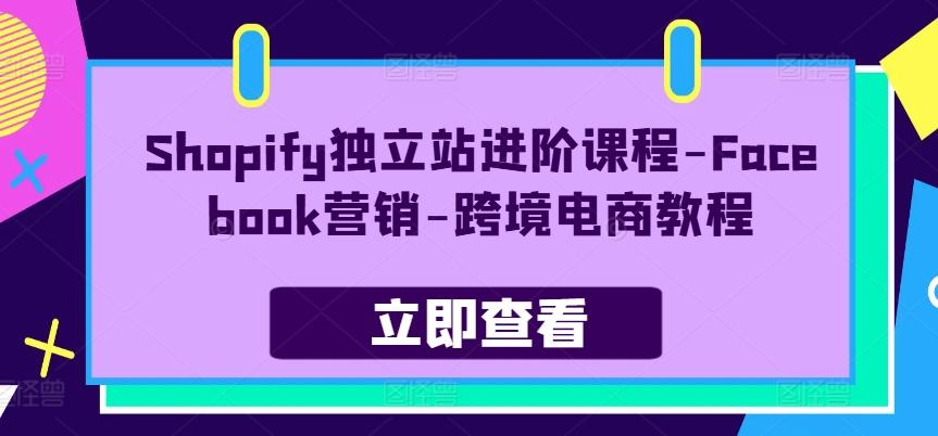 Shopify独立站进阶课程-Facebook营销-跨境电商教程-苏舒创业网