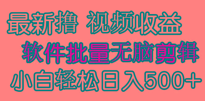 (9569期)发视频撸收益，软件无脑批量剪辑，第一天发第二天就有钱-苏舒创业网