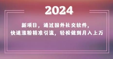 2024新项目，通过国外社交软件，快速涨粉精准引流，轻松做到月入上万【揭秘】-苏舒创业网