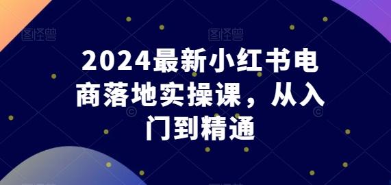 2024最新小红书电商落地实操课，从入门到精通-苏舒创业网