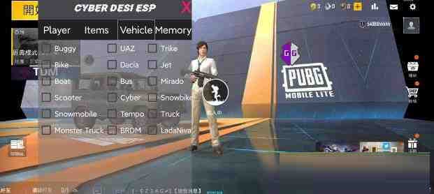 PUBG轻量老外裸奔绘制+自瞄 支持ROOT和框架 里面有全局离线-苏舒创业网