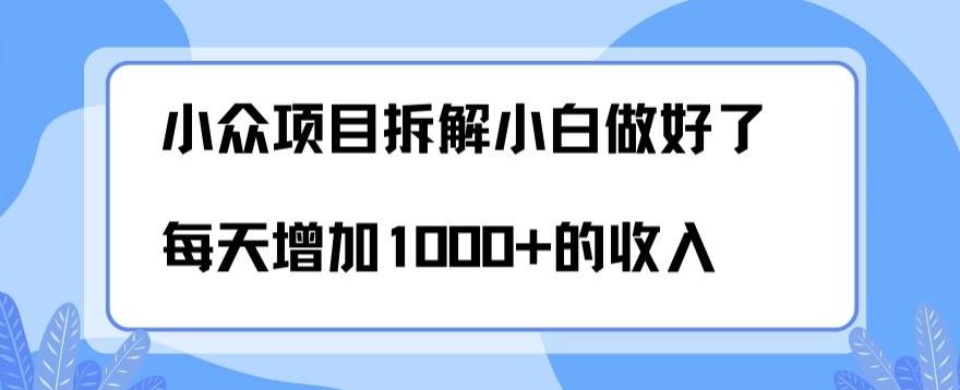 小众项目拆解，小白做好了每天可增加1000多的收入-苏舒创业网