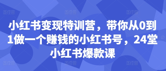 小红书变现特训营，带你从0到1做一个赚钱的小红书号，24堂小红书爆款课-苏舒创业网