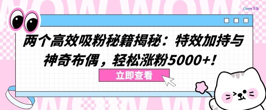 两个高效吸粉秘籍揭秘：特效加持与神奇布偶，轻松涨粉5000+【揭秘】-苏舒创业网