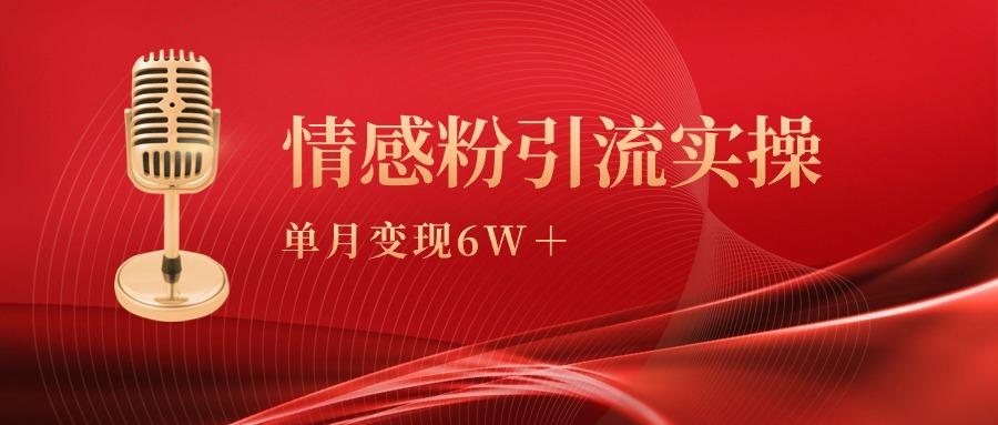 (9473期)单月变现6w+，情感粉引流变现实操课-苏舒创业网