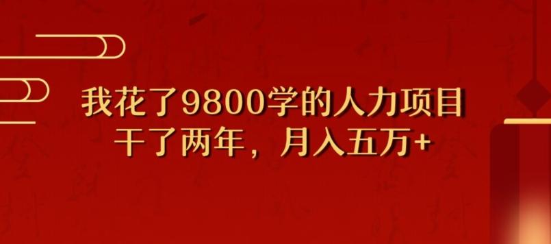 我花了9800学习,干了两年赚了70万的人力项目-苏舒创业网