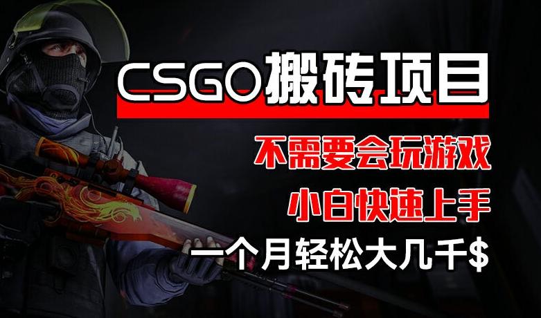 CSGO 装备搬砖项目，操作简单，不需要会玩游戏，小白也能快速上手，一个月轻松大几千【揭秘】-苏舒创业网