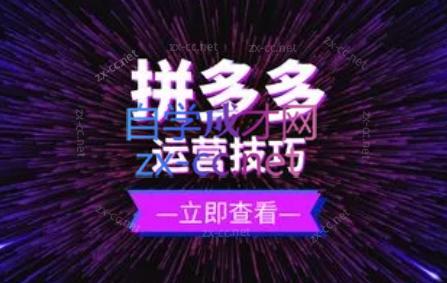 力辛电商·拼多多强付费店群玩法-苏舒创业网