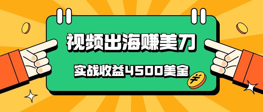 国内爆款视频出海赚美刀,实战收益4500美金,批量无脑搬运,无需经验直接上手-苏舒创业网