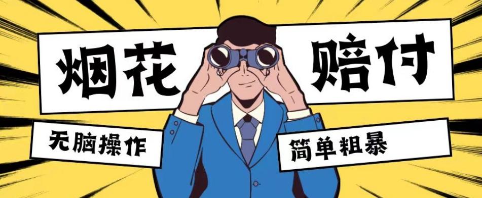 最新蓝海玩法，烟花爆竹赔付，单订单赔付200-500无脑操作【仅揭秘】-苏舒创业网