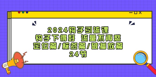 2024钩子引流课：钩子下得好流量不再愁，定位篇/标签篇/破播放篇/24节-苏舒创业网