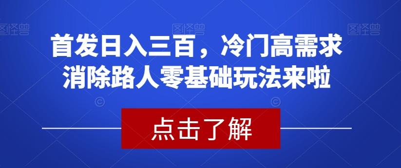 首发日入三百，冷门高需求消除路人零基础玩法来啦【揭秘】-苏舒创业网