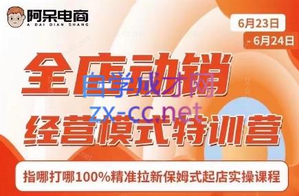 阿呆电商·全店动销经营模式特训营(线下录音+思维导图)-苏舒创业网