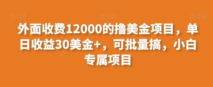 外面收费12000的撸美金项目,单日收益30美金+,可批量搞,小白专属项目-苏舒创业网