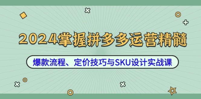 2024掌握拼多多运营精髓:爆款流程、定价技巧与SKU设计实战课-苏舒创业网