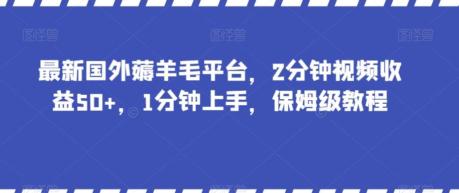 最新国外薅羊毛平台,2分钟视频收益50+,1分钟上手,保姆级教程【揭秘】-苏舒创业网